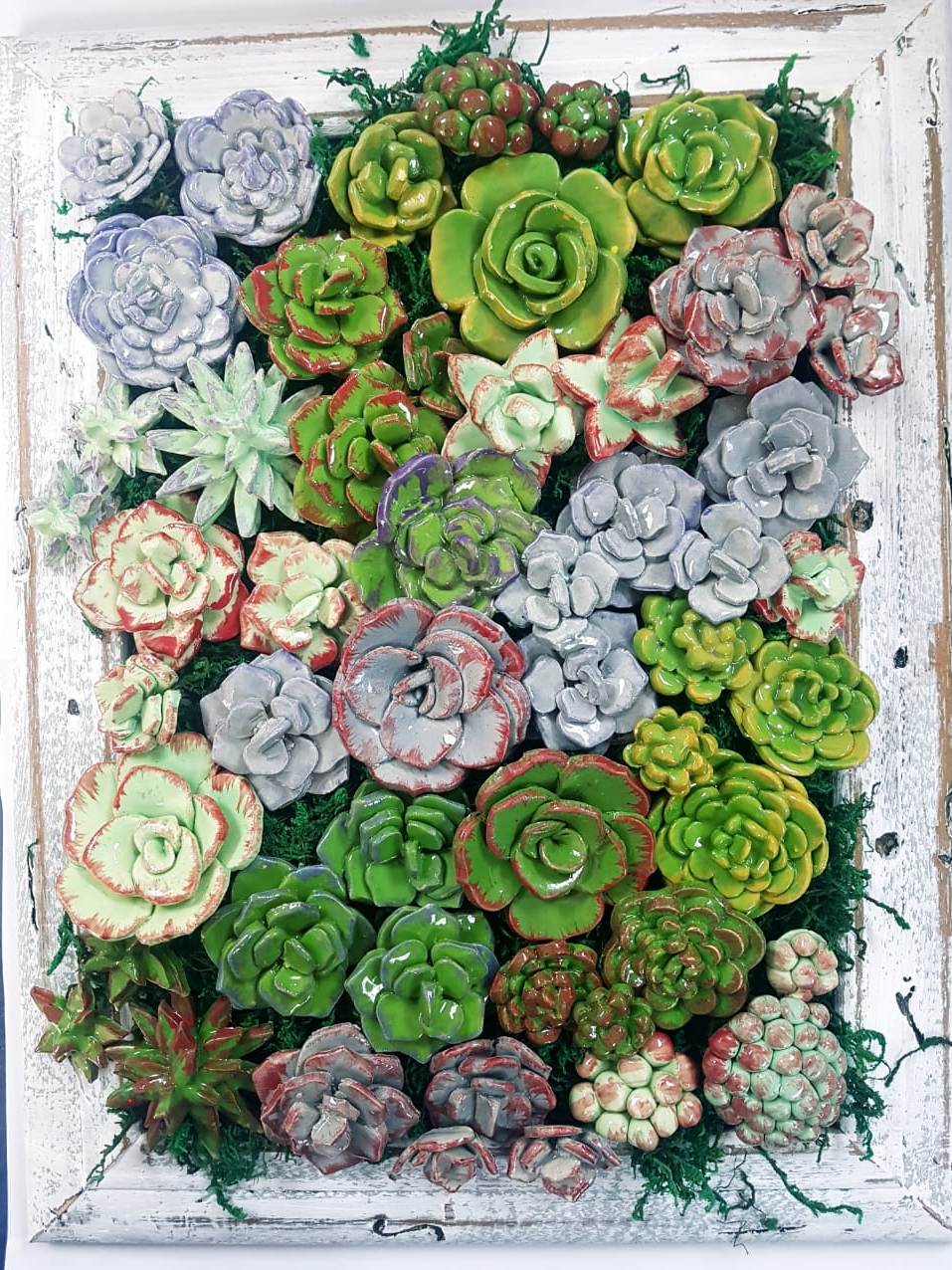 Succulents frame 2