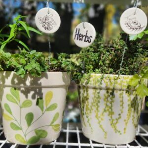 Herbs