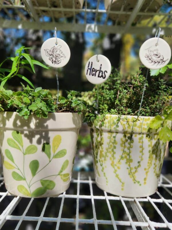 Herbs