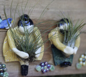 air plant figures on pallet