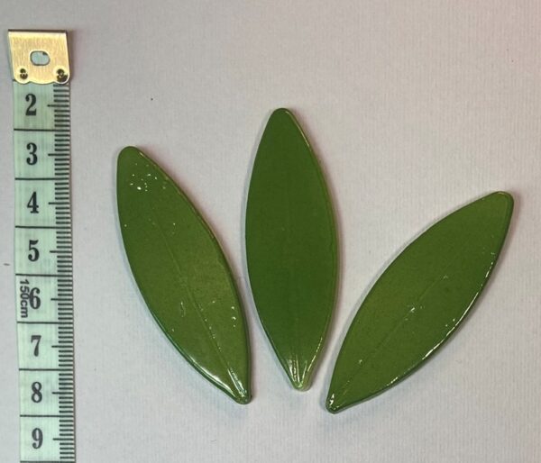 Long Oval Leaf Small