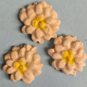 BUR-017 Dahlia Super Small